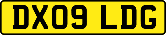 DX09LDG