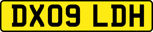 DX09LDH