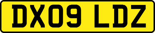 DX09LDZ