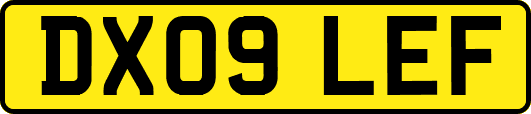 DX09LEF
