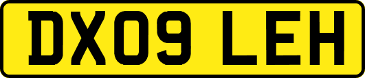 DX09LEH