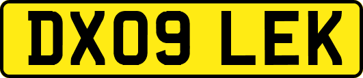 DX09LEK