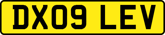 DX09LEV