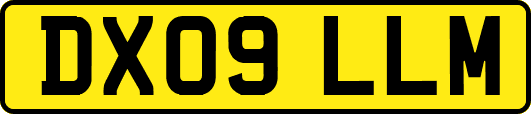 DX09LLM