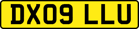 DX09LLU