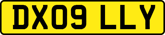 DX09LLY