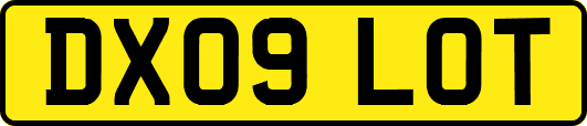 DX09LOT