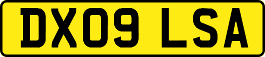 DX09LSA