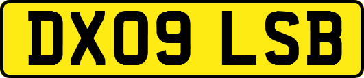 DX09LSB