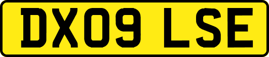 DX09LSE
