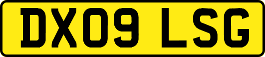DX09LSG