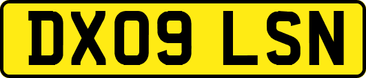 DX09LSN