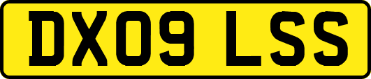 DX09LSS
