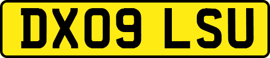 DX09LSU