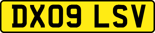 DX09LSV