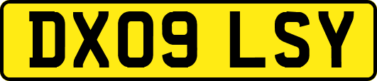 DX09LSY