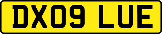 DX09LUE