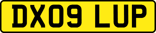 DX09LUP