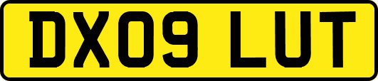 DX09LUT