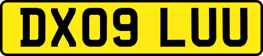 DX09LUU