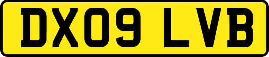 DX09LVB
