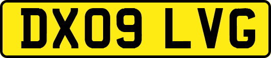 DX09LVG