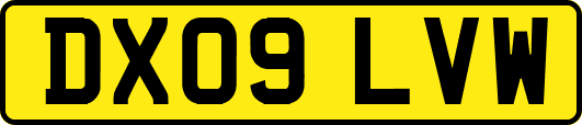 DX09LVW