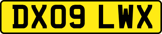 DX09LWX