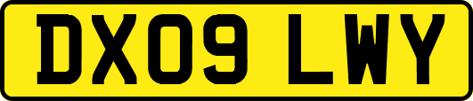 DX09LWY
