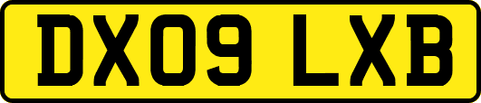 DX09LXB