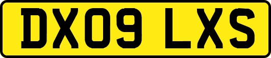 DX09LXS