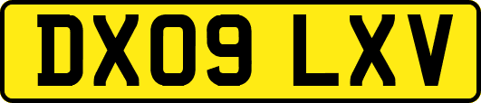 DX09LXV