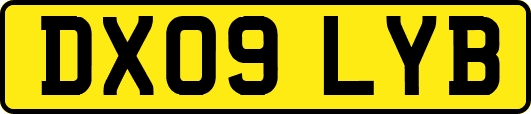 DX09LYB