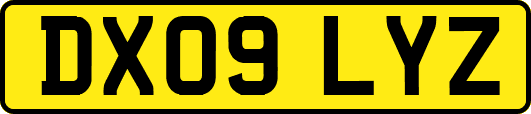 DX09LYZ