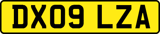 DX09LZA