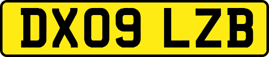 DX09LZB