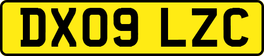 DX09LZC