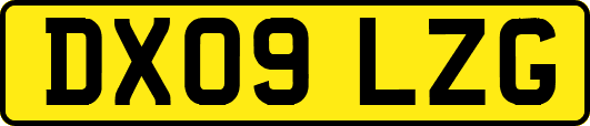 DX09LZG