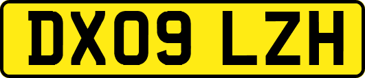 DX09LZH