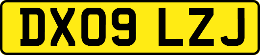 DX09LZJ