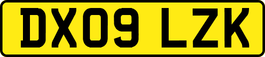 DX09LZK