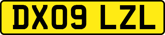 DX09LZL