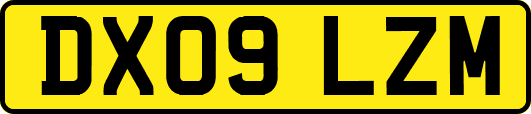 DX09LZM
