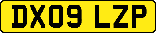 DX09LZP