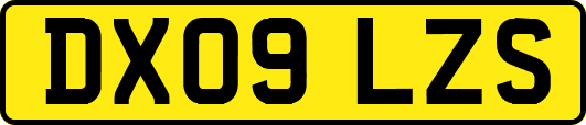 DX09LZS