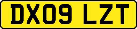DX09LZT