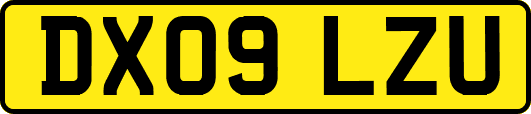 DX09LZU