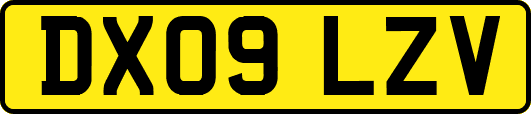DX09LZV