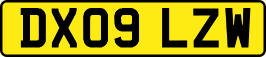 DX09LZW