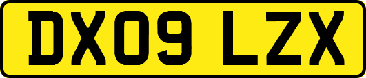DX09LZX